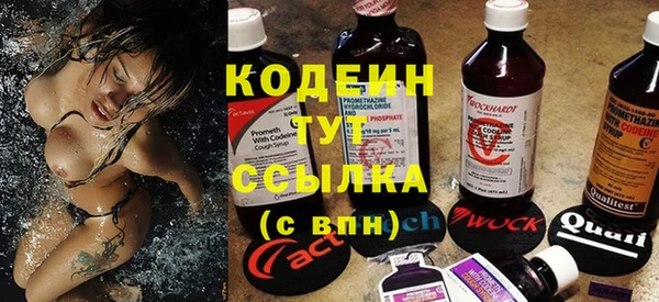 крисы Армянск
