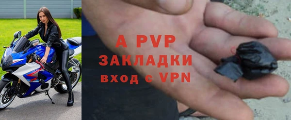 крисы Армянск