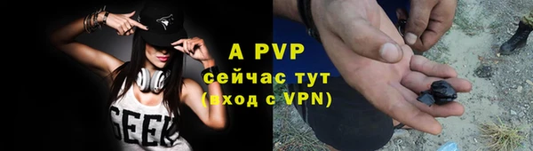 крисы Армянск